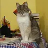 Отзыв от Олеся Худякова